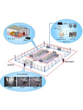 Detention Center Perimeter Security Solution