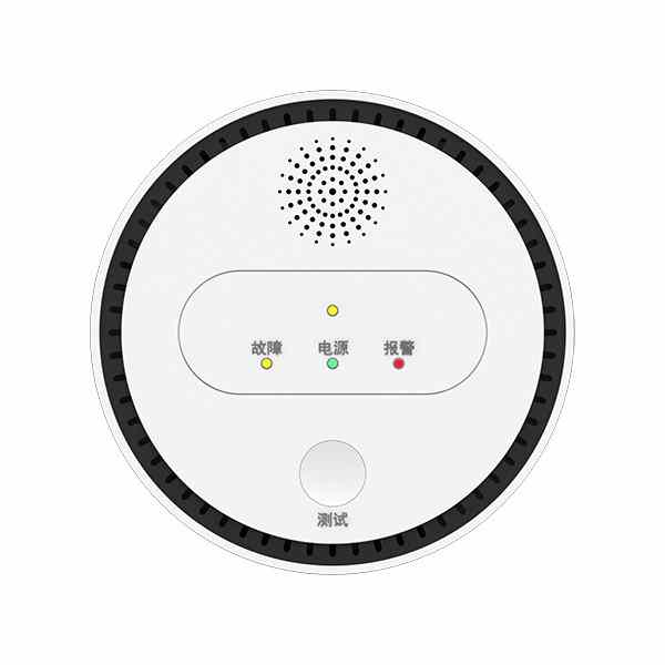 Standalone Gas Alarm