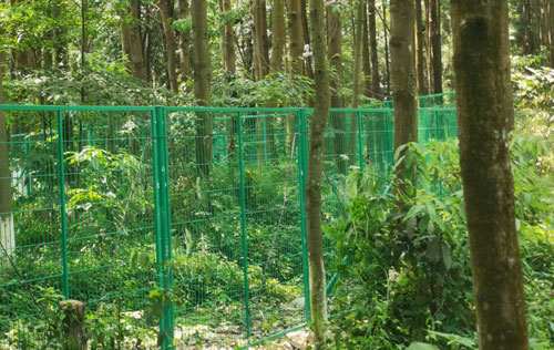 Vibration Optical Fiber Perimeter Alarm System for a Drinking-Water Reservoir in Hunan