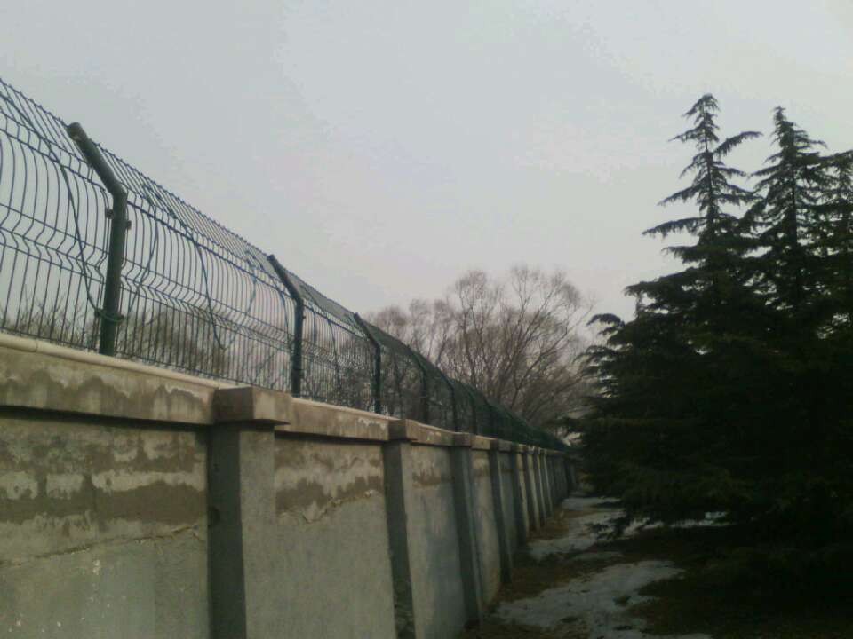 VLF Biometric Induction Fence Detector